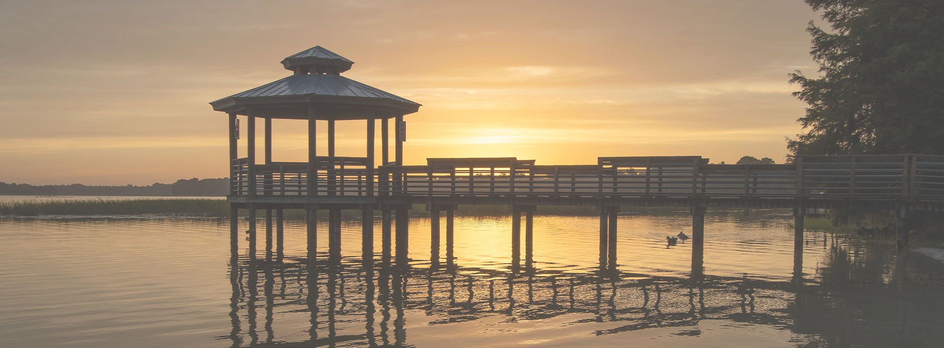 Orofacial Dental Implant Surgery | Ridge Augmentation, Missing All Upper or Lower Teeth and Impacted Wisdom Teeth